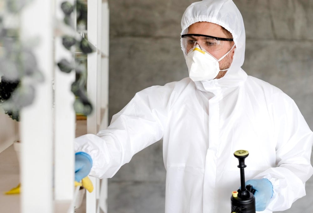 man doing mold inspection