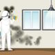black mold inspection